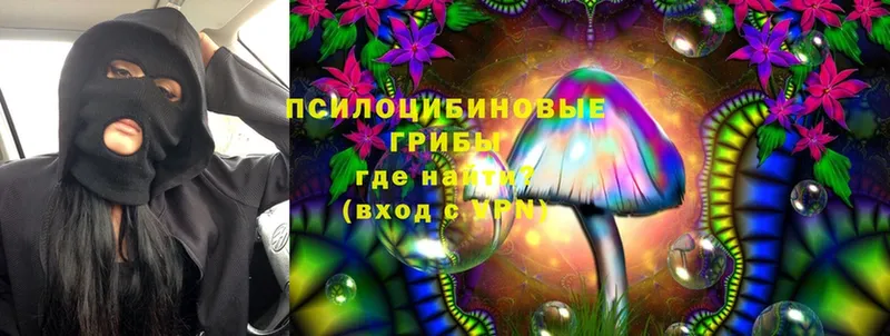 Псилоцибиновые грибы Psilocybe  Бабушкин 